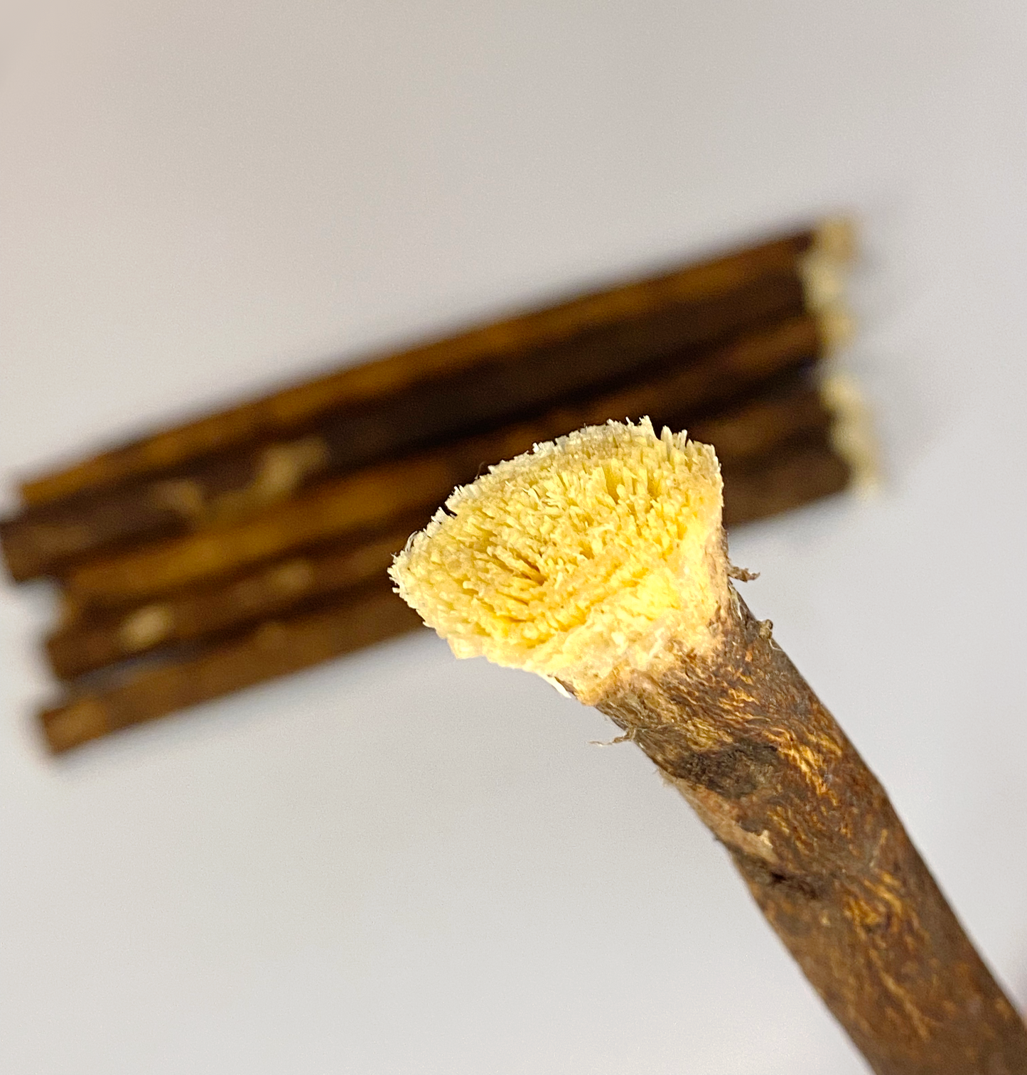 Miswak stick - All natural toothbrush